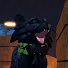 Nz1595jwY7s-channel-avatar-Lingering Rain WCUE