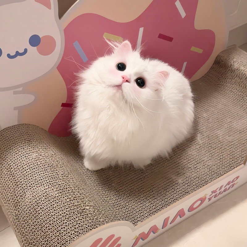 LipstickCollectorUnused 