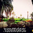 @mostafaelhosseinay8434
