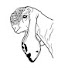 LYZCSwUKtL8-channel-avatar-Rana Irfan Kajla and goat farm.