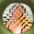EgJacJuGZvA-channel-avatar-Laura Moonzi