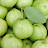 @Guava-o8y