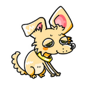 ちゃんもー【チワワ】