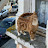 @3alamzineb209