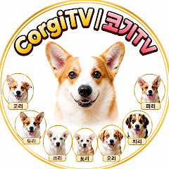 코기TV [먹방라이브] | Corgi TV LIVE