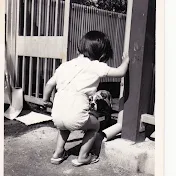 ずーっとついてくるトイプーがいるんです。