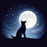 OxWAwl6xSRY-channel-avatar-Susurros de Animales