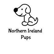 Northern Ireland Pups