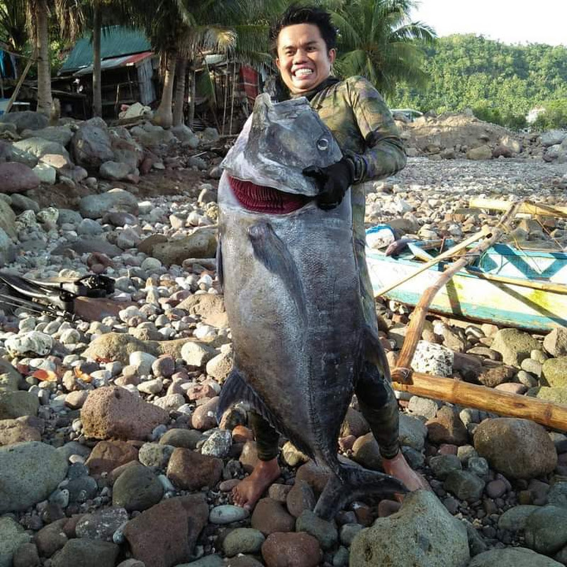 Mel Spearfishing Tv