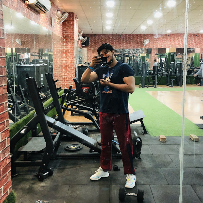 D_S VLOGS