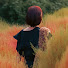 YzMH2dUEHbk-channel-avatar-Wanda’s Day Off