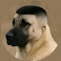 N7GVW-b6gJU-channel-avatar-freegracehub