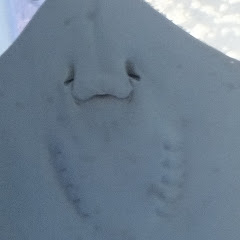 リッズの日常〜