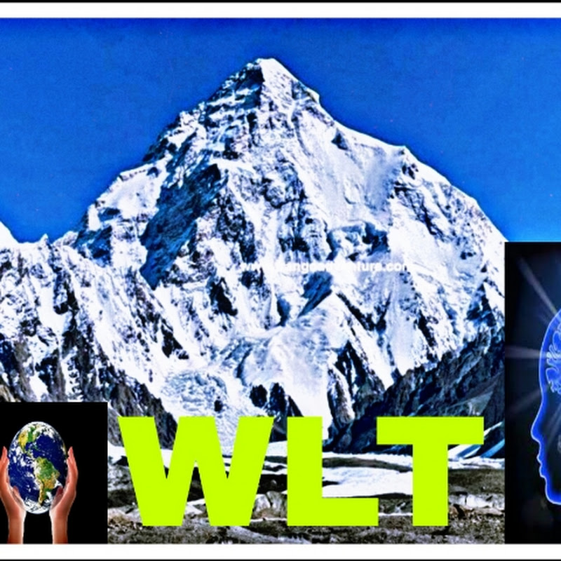 We Learn Together 1M