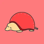 カメです。
