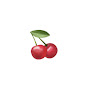 맘핏로그🍒