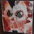 04y8g1eliQg-channel-avatar-Maximilllian 