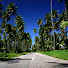 _SNtP3atWBc-channel-avatar-sweet Tobago