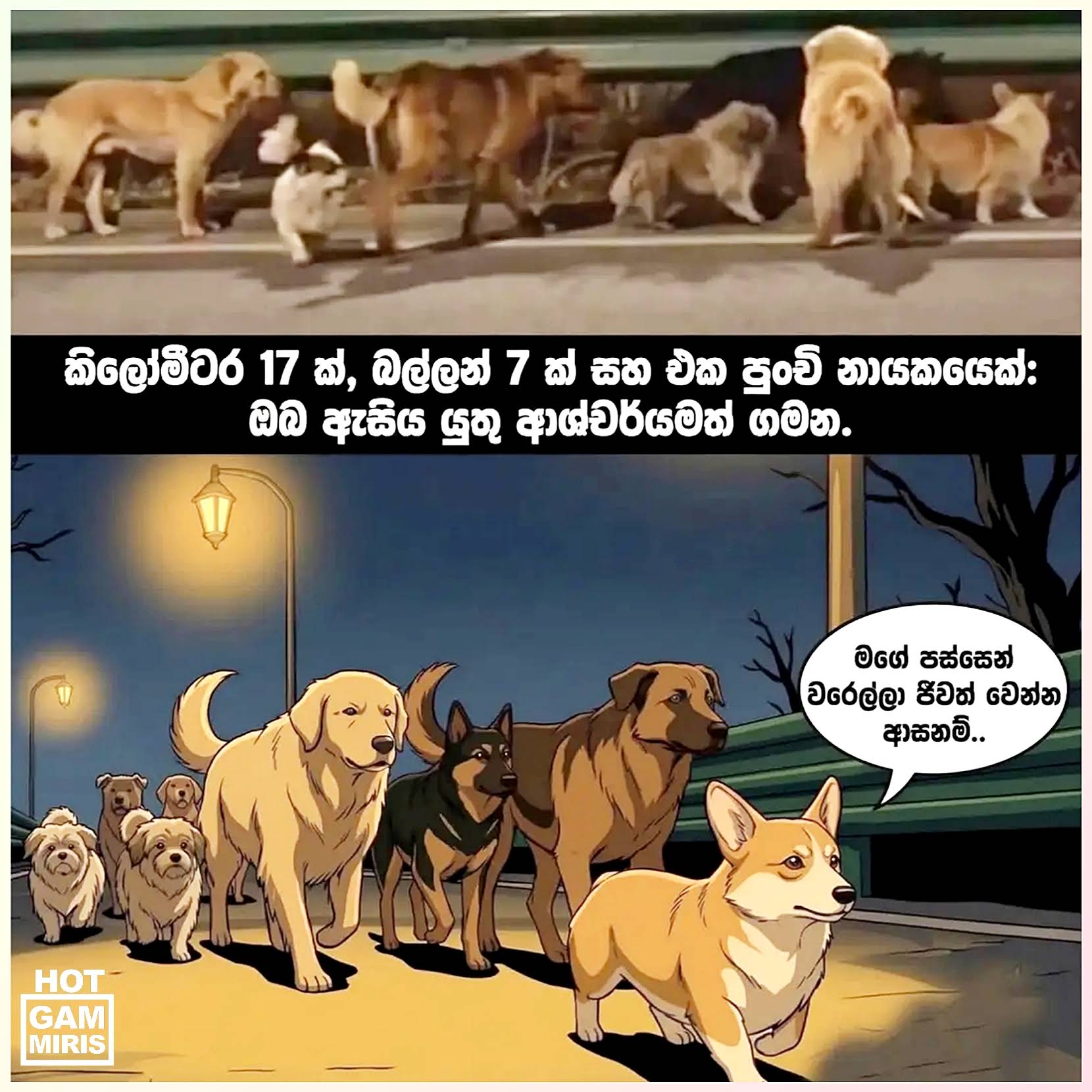 Post from Hot Gammiris