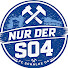 OLXzQVJRExU-channel-avatar-NUR DER S04