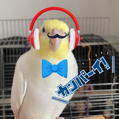 オカメインコのうにチャンネルアイコン画像