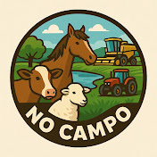 NO CAMPO