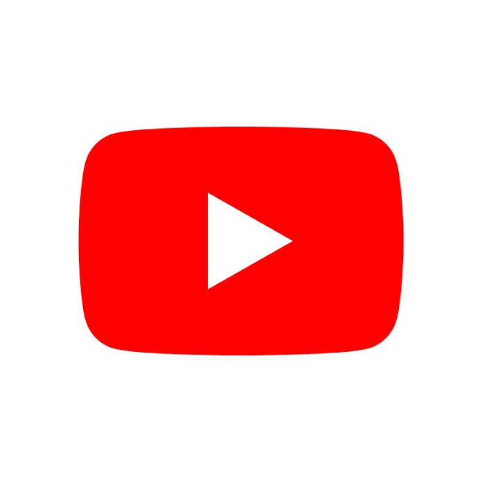 YouTube Viewers Net Worth & Earnings (2024)