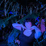 g5DeIQWNqhk-channel-avatar-Gizmos corner