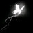 @nourhan5965