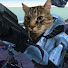 ga1bHzGCEgE-channel-avatar-Utimaaa