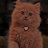 @مًيَرنِآ-ض3ر7ص