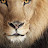 @Pocahontas284 Avatar
