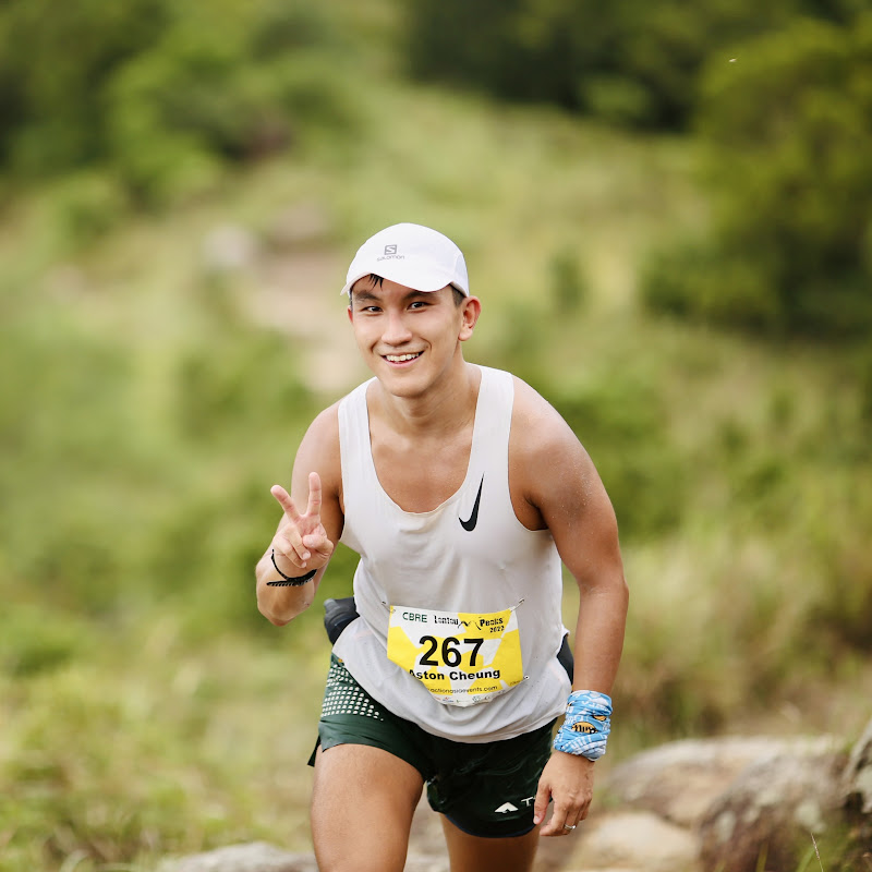 Yamajai Notsa 山系の廢青 Logo