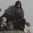 xXGq_Y6wa_4-channel-avatar-A Cursed_Requiem