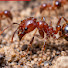 iBj4G6FOIAA-channel-avatar-wild nature