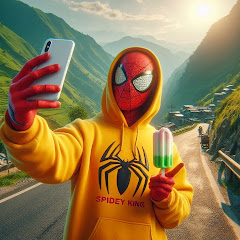 Spidey_King