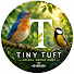 1O00ict2BKg-channel-avatar-TINYTUFTS