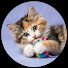 Of23vka4M9w-channel-avatar-Milly Cat TV