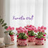 8I6ZMGXvLS4-channel-avatar-Kamelia Craft