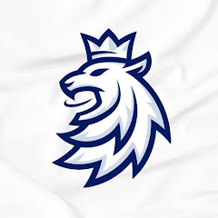 Český hokej