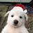 @현중hj