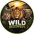 P9TK1Z5UEH8-channel-avatar-WILD  DISCOVERY 