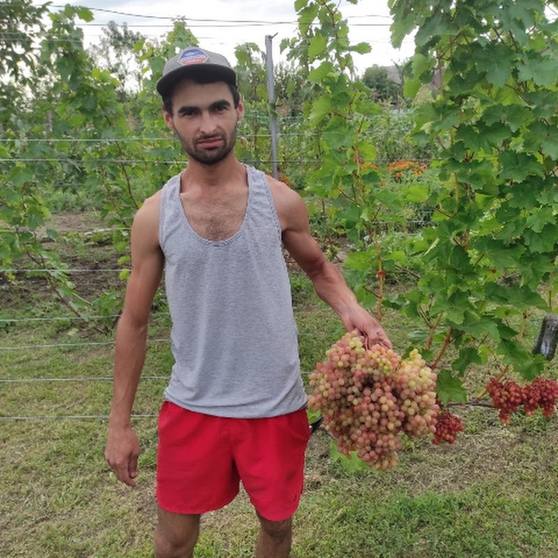 ВИНОГРАДНИК L.Y.🍇