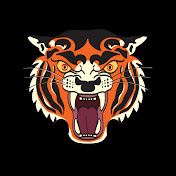 Tiger Media Network