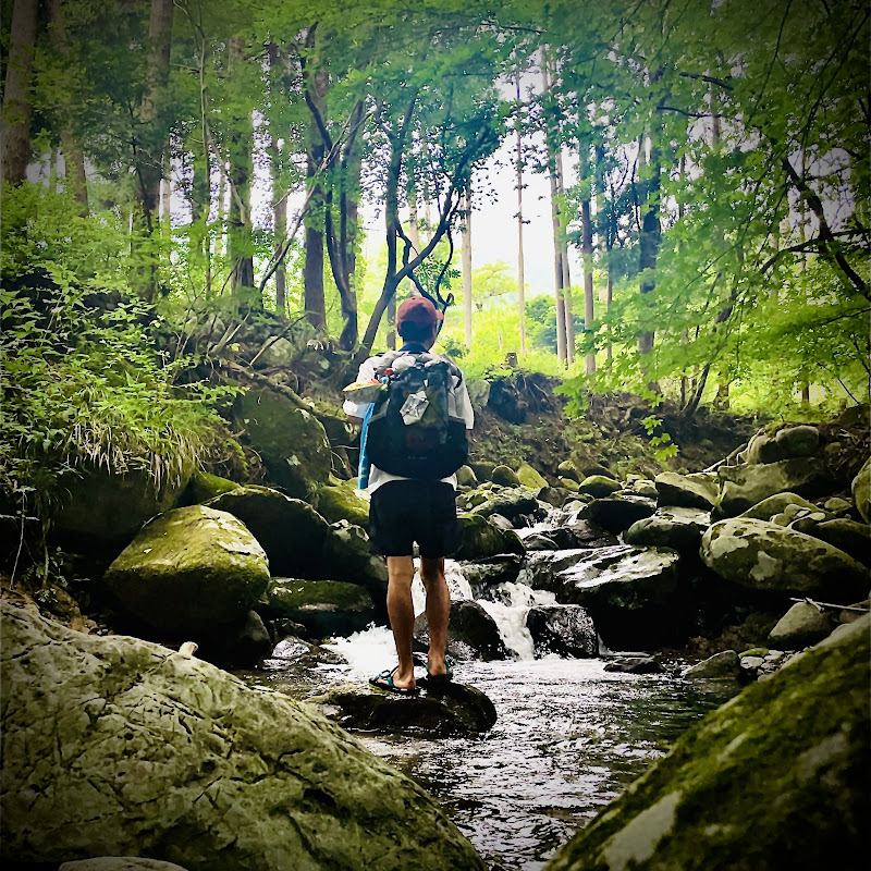 ぼっちずむ │ 鹿๑