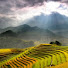 eQdyGq8WD5M-channel-avatar-Đông Thế-Landscape of VietNam