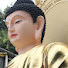RoB_De9ghH4-channel-avatar-ฟังธรรมวันหยุด108