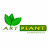 Art plant aglonema