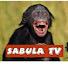 ZQomedS4zJ0-channel-avatar-Sabula Tv 