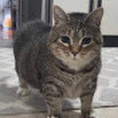 Thumbnail of related channel